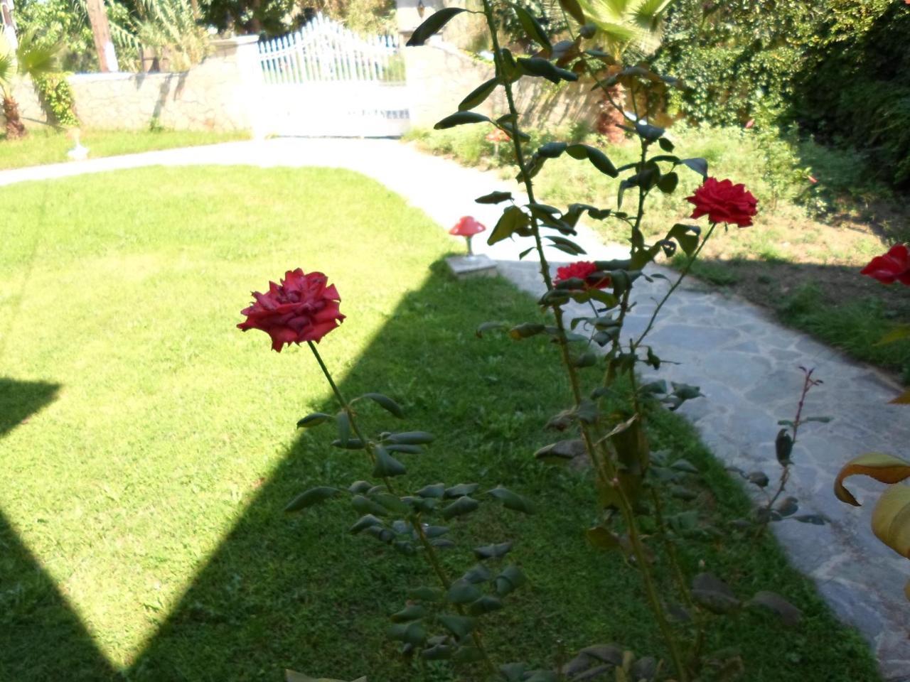 تسيليفي Hotel Villa Basil المظهر الخارجي الصورة